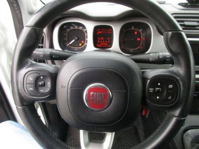 Fiat Panda 1.3 MJT 16V DPF 4x4 Cross (10)