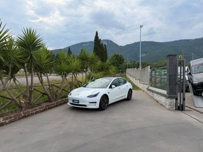 Tesla Model 3 Model 3 Long Range RWD usata