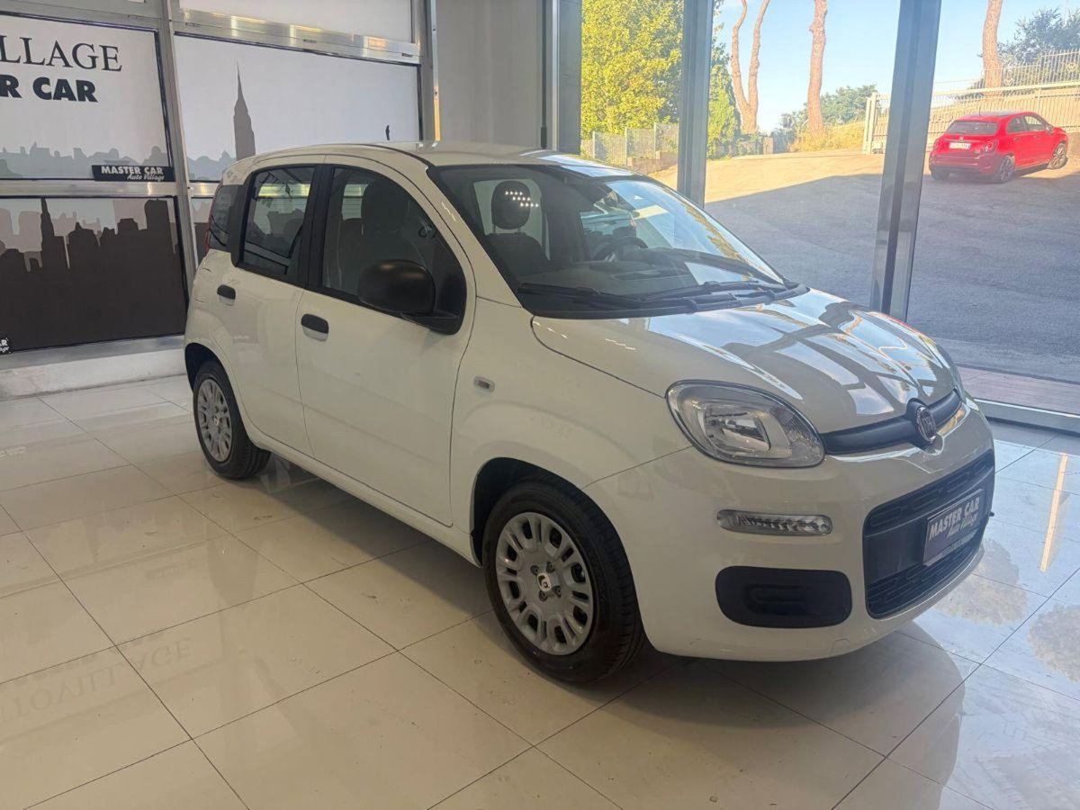 Fiat Panda 1.0 FireFly S&S Hybrid City Cross (3)