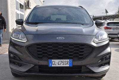 Ford Kuga 1.5 EcoBlue 120 CV 2WD ST-Line (2)