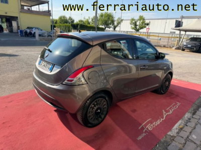 Lancia Ypsilon 1.2 69 CV 5 porte Elefantino (3)