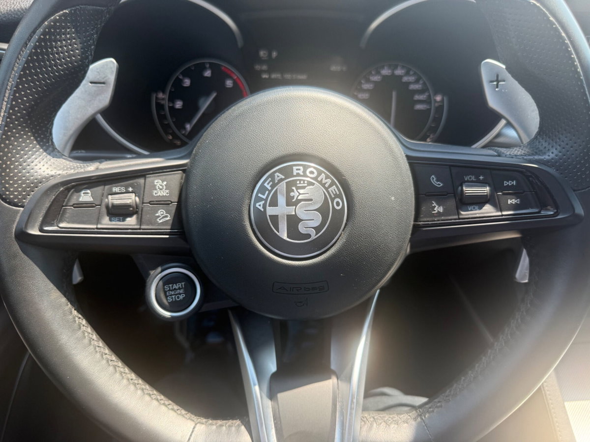 Alfa Romeo Stelvio Stelvio 2.2 Turbodiesel 210 CV AT8 Q4 Veloce (12)