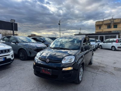 Fiat Panda 1.0 firefly hybrid s&s 70cv 5p.ti (2)