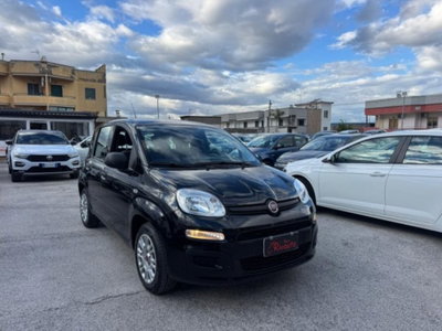 Fiat Panda 1.0 firefly hybrid s&s 70cv 5p.ti (3)