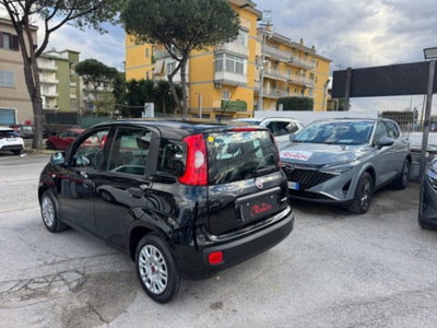 Fiat Panda 1.0 firefly hybrid s&s 70cv 5p.ti (4)