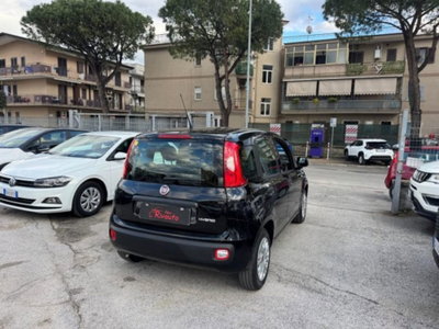 Fiat Panda 1.0 firefly hybrid s&s 70cv 5p.ti (6)