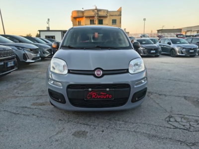 Fiat Panda 1.0 firefly hybrid s&s 70cv 5p.ti usata