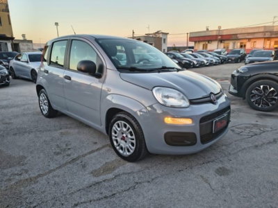 Fiat Panda 1.0 firefly hybrid s&s 70cv 5p.ti (2)