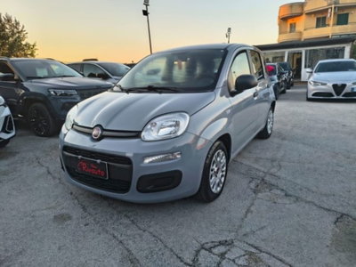 Fiat Panda 1.0 firefly hybrid s&s 70cv 5p.ti (3)
