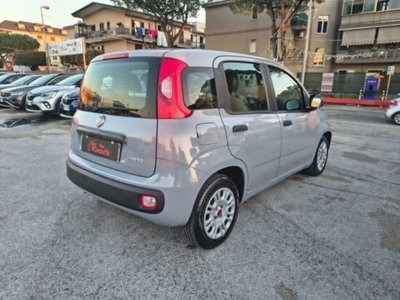 Fiat Panda 1.0 firefly hybrid s&s 70cv 5p.ti (4)