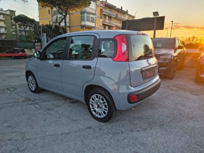 Fiat Panda 1.0 firefly hybrid s&s 70cv 5p.ti (6)