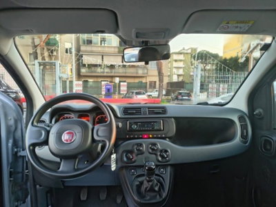 Fiat Panda 1.0 firefly hybrid s&s 70cv 5p.ti (7)