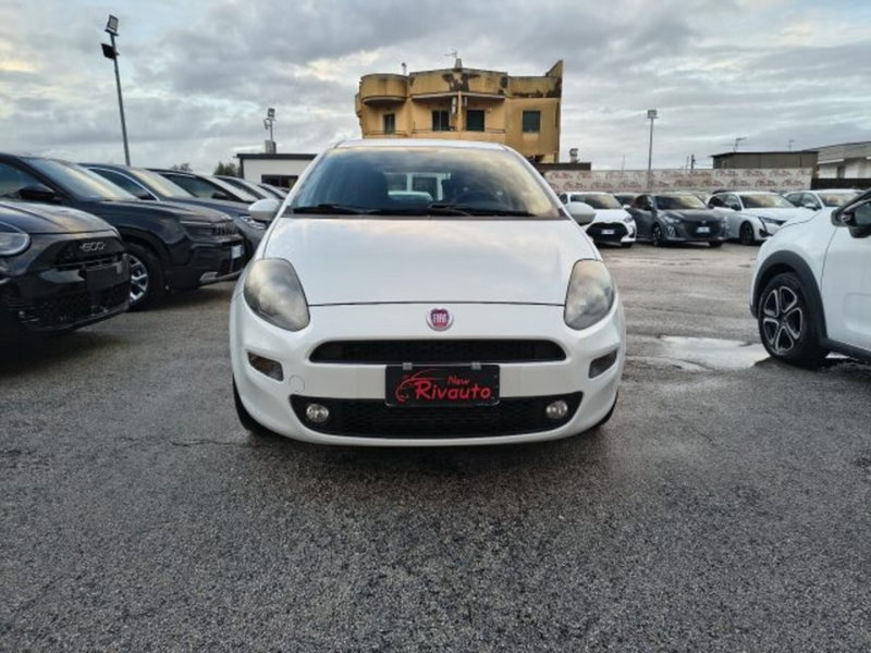 Fiat Punto 1.3 MJT II 75 CV 5 porte Street