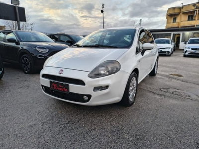 Fiat Punto 1.3 MJT II 75 CV 5 porte Street (2)