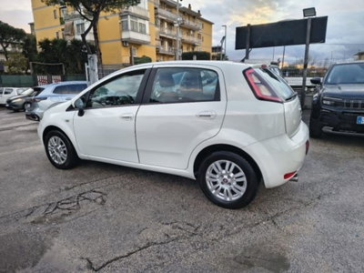 Fiat Punto 1.3 MJT II 75 CV 5 porte Street (5)