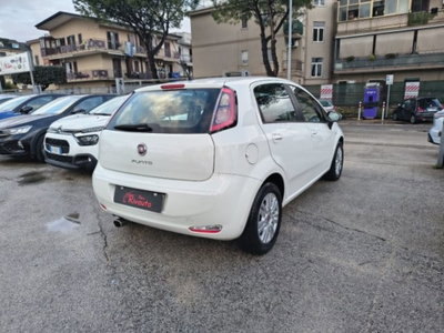 Fiat Punto 1.3 MJT II 75 CV 5 porte Street (6)