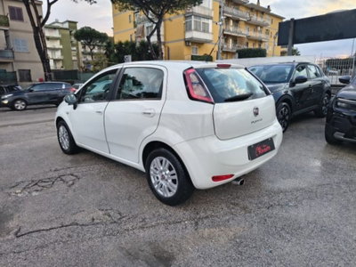 Fiat Punto 1.3 MJT II 75 CV 5 porte Street (7)
