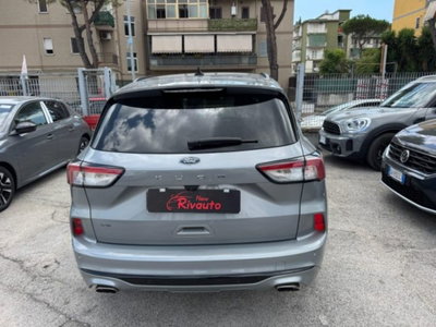 Ford Kuga 1.5 EcoBlue 120 CV aut. 2WD ST-Line X Design (5)