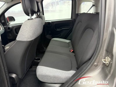 Fiat Panda 1.0 firefly hybrid s&s 70cv 5p.ti (12)