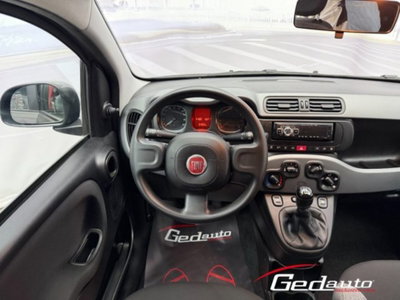 Fiat Panda 1.0 firefly hybrid s&s 70cv 5p.ti (14)