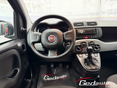 Fiat Panda 1.0 firefly hybrid s&s 70cv 5p.ti (15)