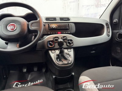 Fiat Panda 1.0 firefly hybrid s&s 70cv 5p.ti (16)