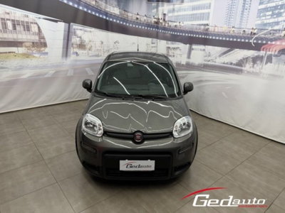 Fiat Panda 1.0 firefly hybrid s&s 70cv 5p.ti (2)