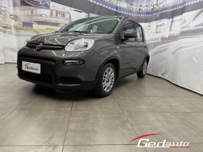 Fiat Panda 1.0 firefly hybrid s&s 70cv 5p.ti (3)