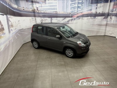 Fiat Panda 1.0 firefly hybrid s&s 70cv 5p.ti (4)