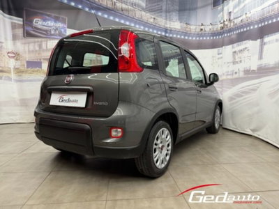 Fiat Panda 1.0 firefly hybrid s&s 70cv 5p.ti (7)