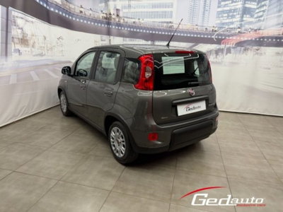 Fiat Panda 1.0 firefly hybrid s&s 70cv 5p.ti (8)