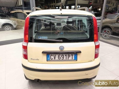 Fiat Panda 1.2 Dynamic (4)