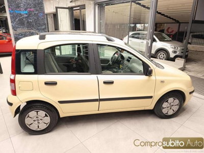 Fiat Panda 1.2 Dynamic (6)