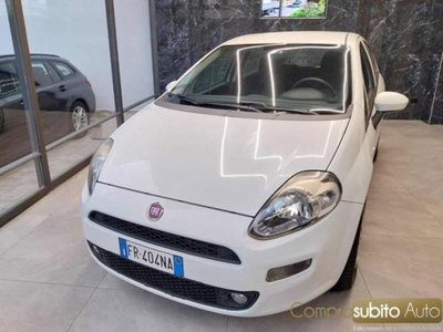 Fiat Punto 1.4 8V 5 porte Easypower Young (3)