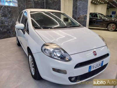 Fiat Punto 1.4 8V 5 porte Easypower Young (4)