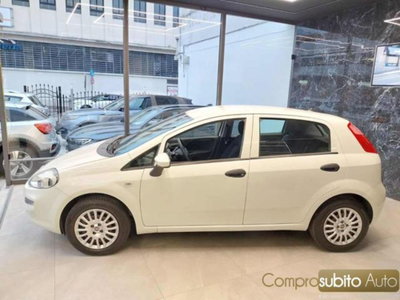Fiat Punto 1.4 8V 5 porte Easypower Young (5)