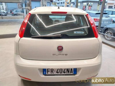 Fiat Punto 1.4 8V 5 porte Easypower Young (6)