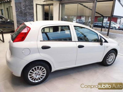 Fiat Punto 1.4 8V 5 porte Easypower Young (8)