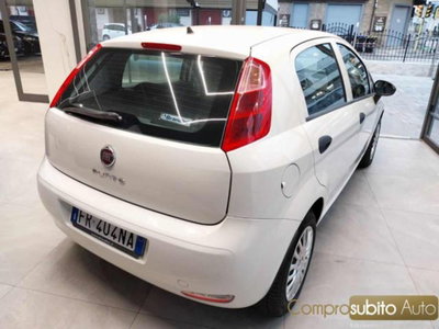 Fiat Punto 1.4 8V 5 porte Easypower Young (9)