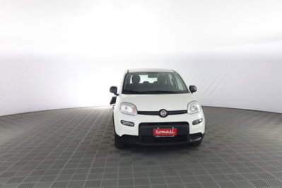 Fiat Panda Cross Cross 1.0 FireFly S&S Hybrid usata