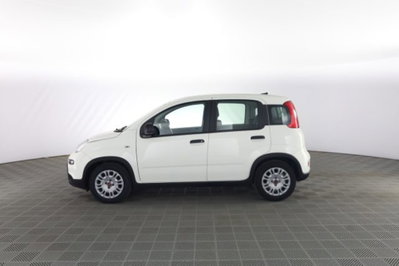 Fiat Panda Cross Cross 1.0 FireFly S&S Hybrid (7)