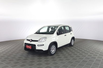 Fiat Panda Cross Cross 1.0 FireFly S&S Hybrid (8)