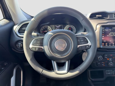 Jeep Renegade 1.0 T3 Business (13)