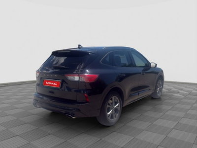 Ford Kuga 2.0 EcoBlue Hybrid 150 CV 2WD ST-Line (5)