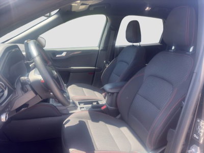 Ford Kuga 2.0 EcoBlue Hybrid 150 CV 2WD ST-Line (9)