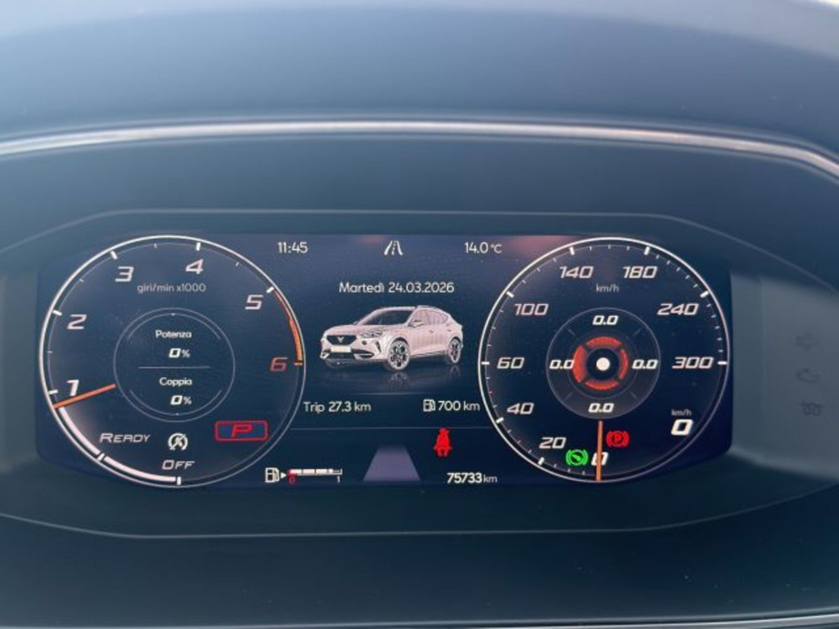 Cupra Formentor Formentor 2.0 tdi 4drive 150cv dsg (6)