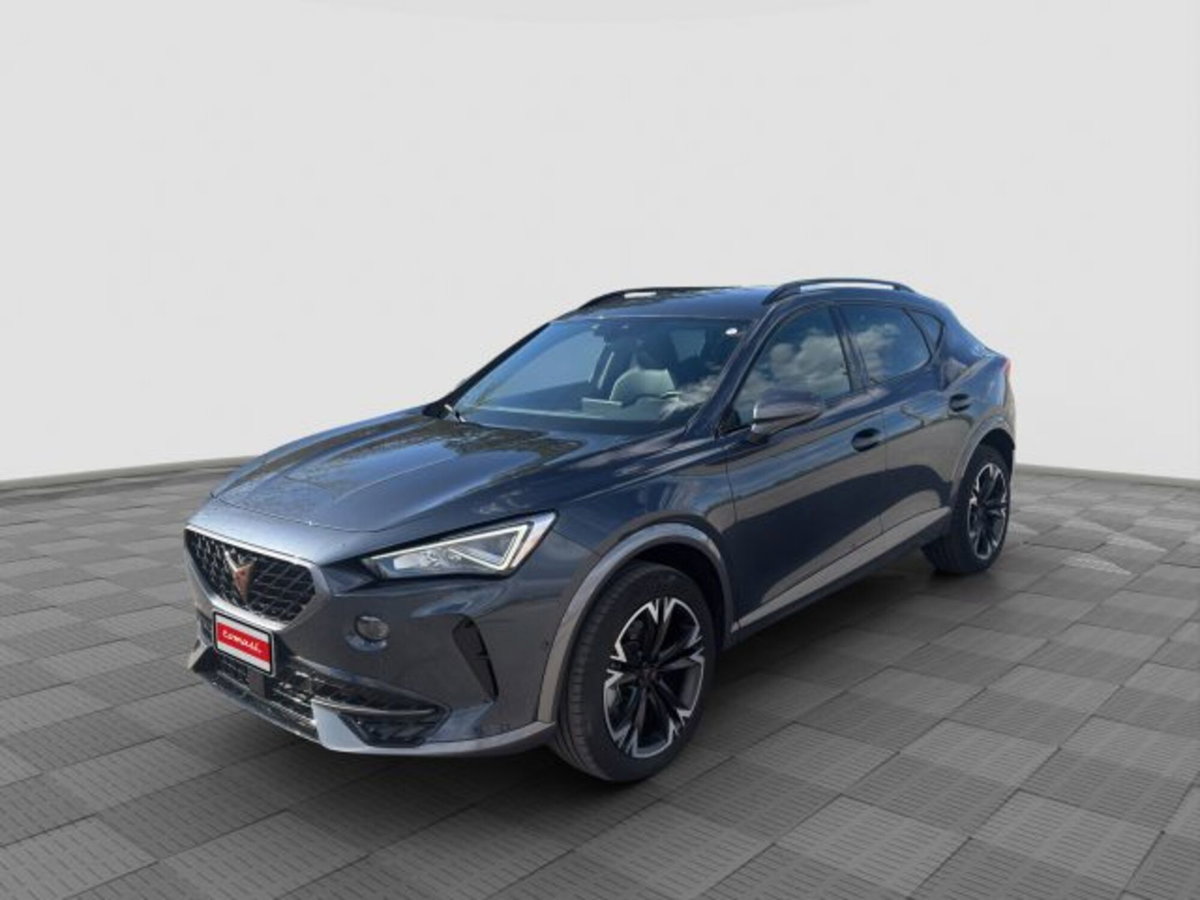 Cupra Formentor Formentor 2.0 tdi 4drive 150cv dsg