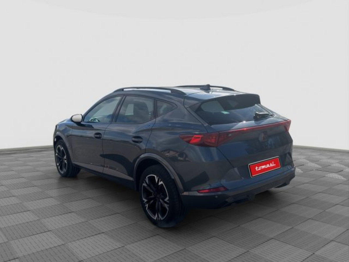 Cupra Formentor Formentor 2.0 tdi 4drive 150cv dsg (3)