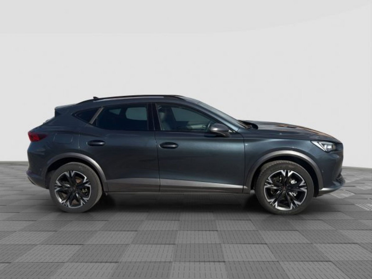 Cupra Formentor Formentor 2.0 tdi 4drive 150cv dsg (6)