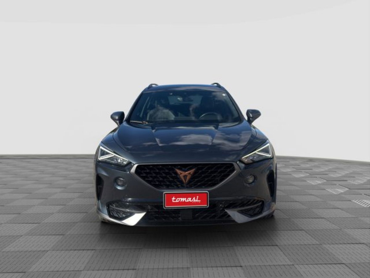 Cupra Formentor Formentor 2.0 tdi 4drive 150cv dsg (8)
